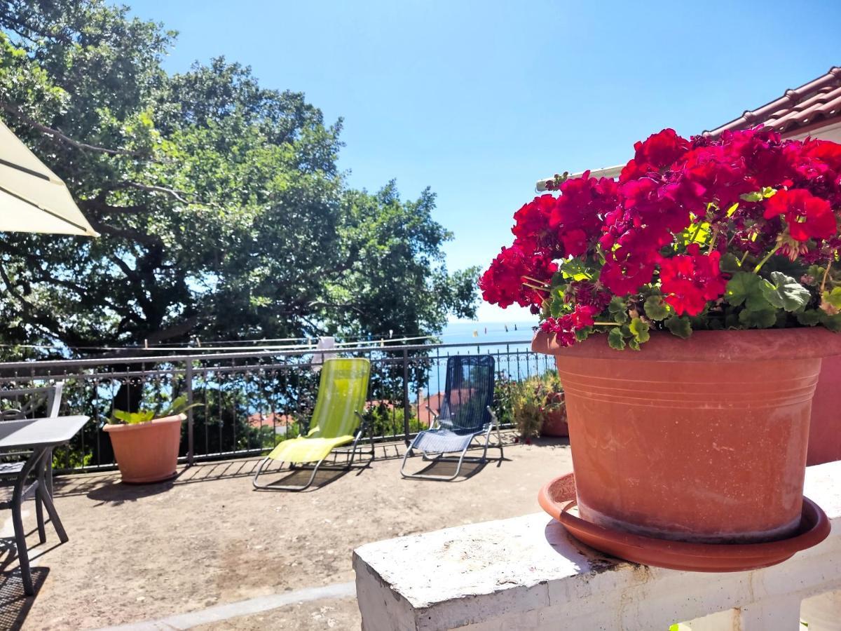 Dubrovnik Moonshine Apartment Млини Екстер'єр фото