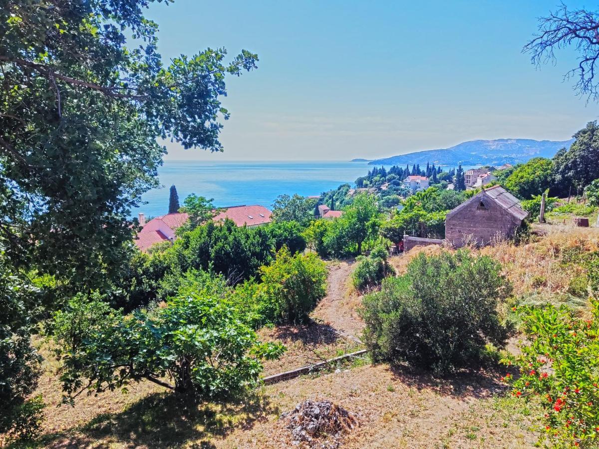 Dubrovnik Moonshine Apartment Млини Екстер'єр фото