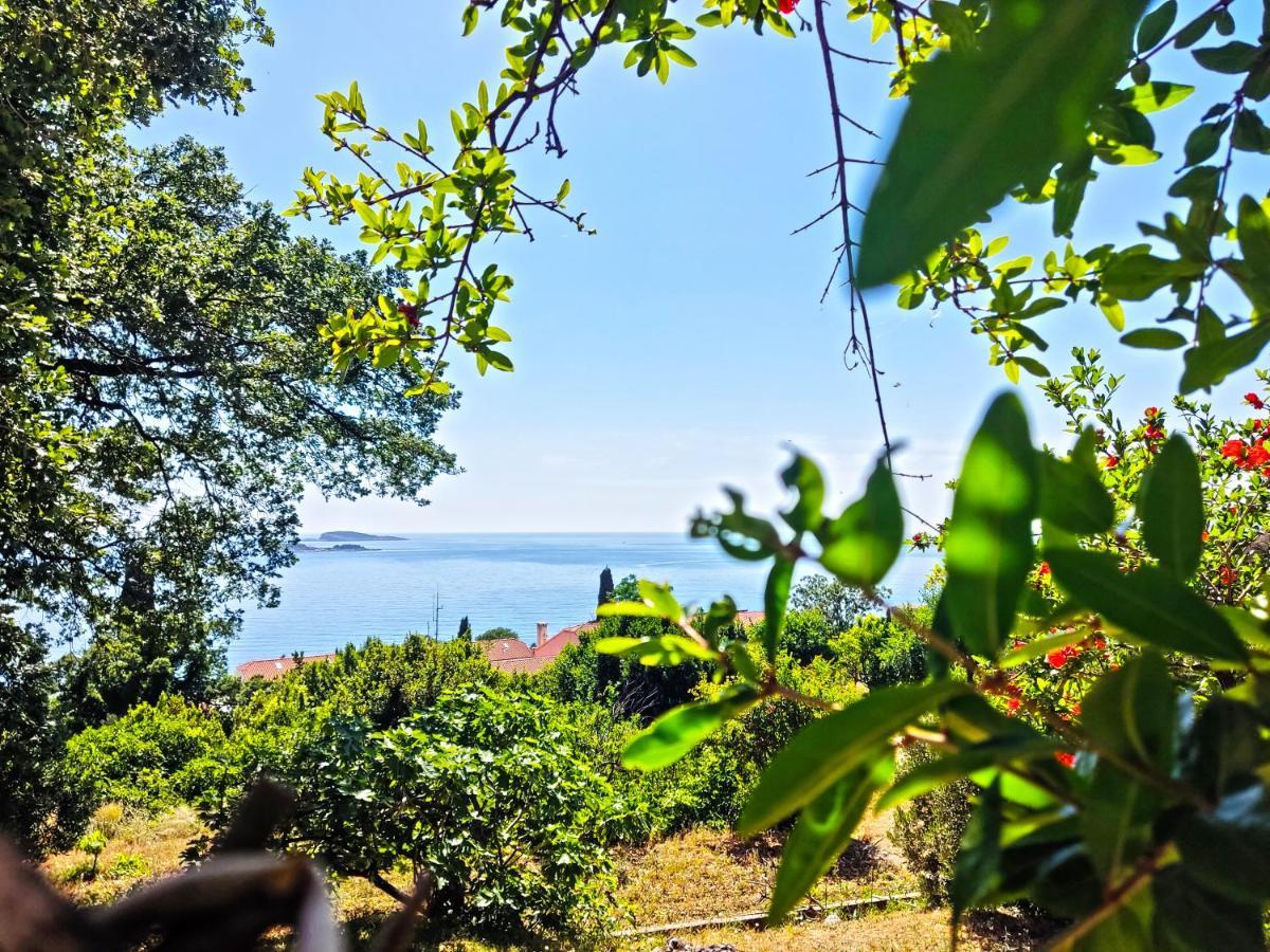 Dubrovnik Moonshine Apartment Млини Екстер'єр фото
