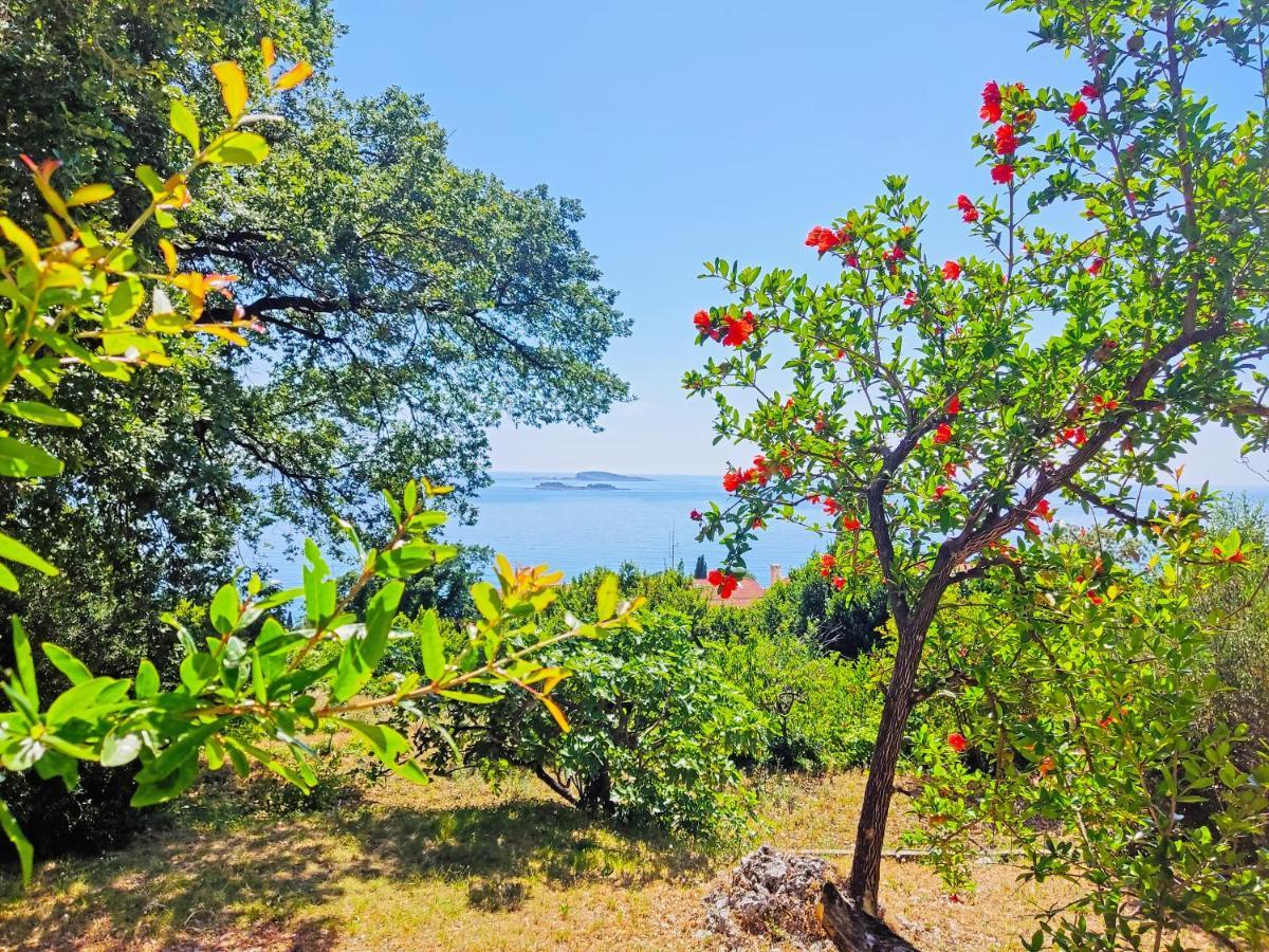 Dubrovnik Moonshine Apartment Млини Екстер'єр фото